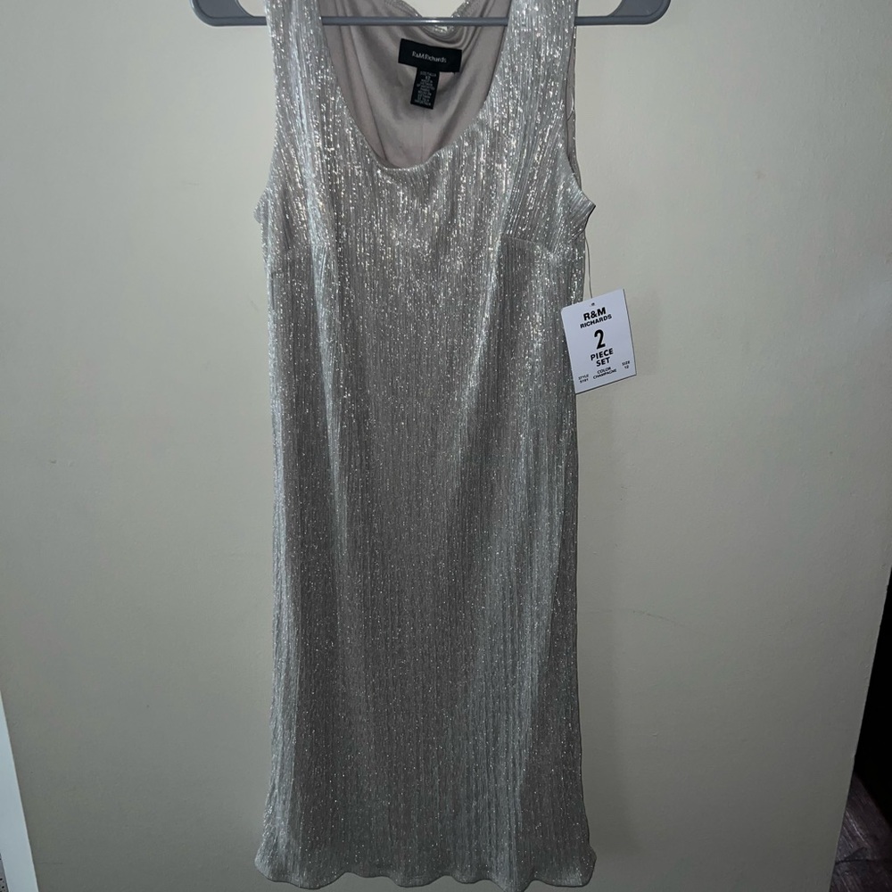 R&M Richards Silver Sequin Midi Dress